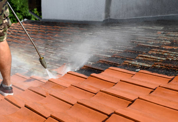 Why Choose Our Certified Pressure Washing Experts for Your Project Needs in Greenville, MI?