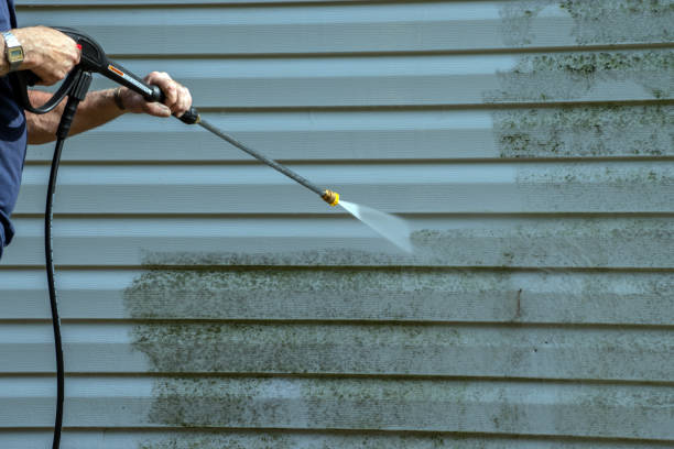 Best Roof Pressure Washing  in Greenville, MI