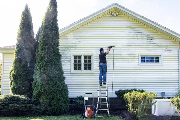 Best Deck Pressure Washing  in Greenville, MI