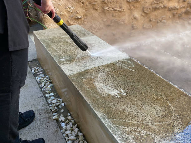 Best Affordable Pressure Washing  in Greenville, MI