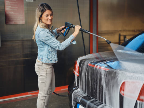 Best Pressure Washing Near Me  in Greenville, MI